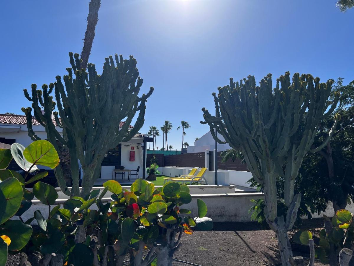 Escarabajo Bungalow Il Maggiolino Maspalomas  Eksteriør bilde